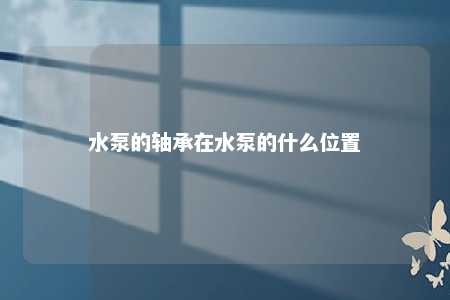 水泵的轴承在水泵的什么位置 