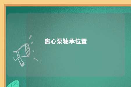 离心泵轴承位置 
